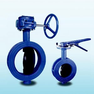 Van bướm mặt láng tay gạt