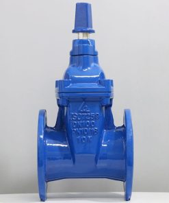 Van cổng ty chìm nắp chụp